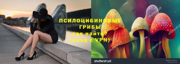 амф Майский