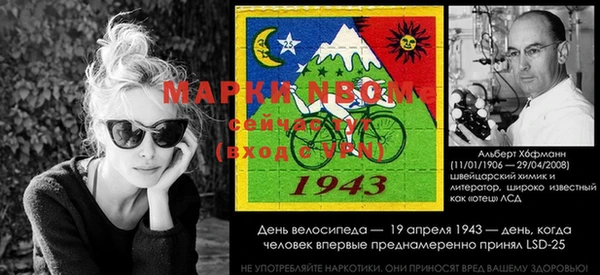 амф Майский