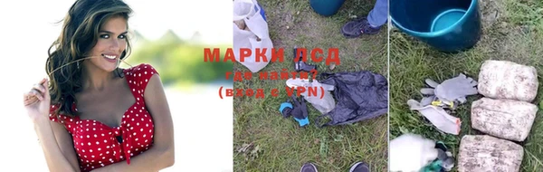 амф Майский